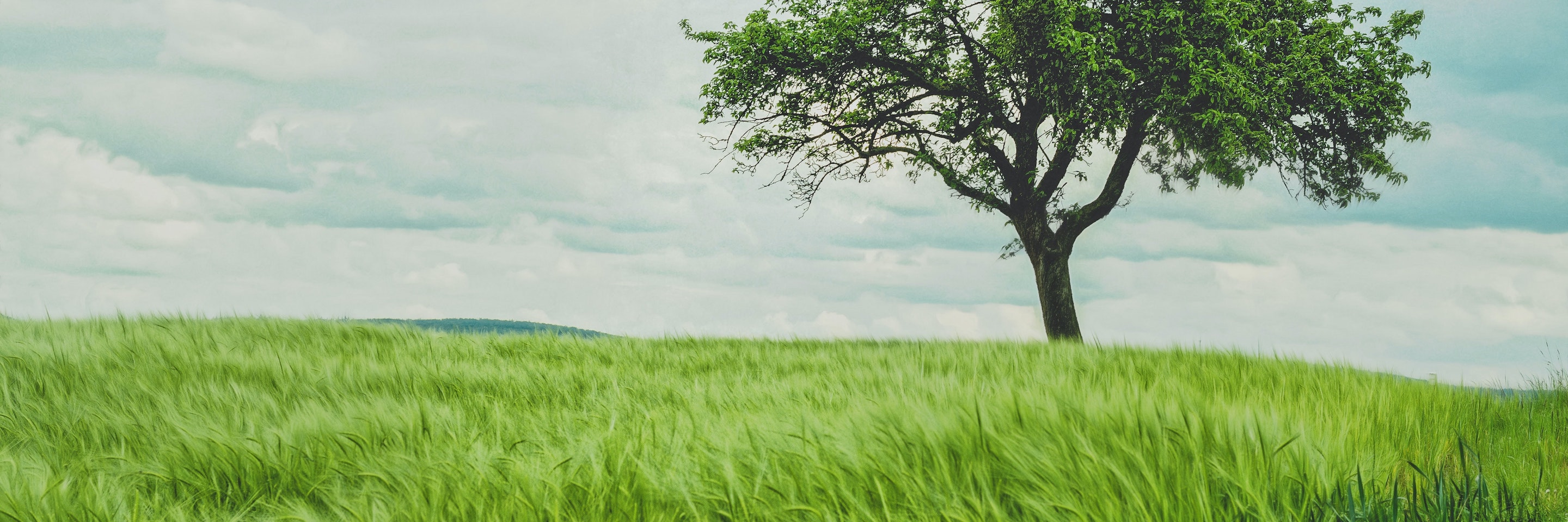 以创新，迈向绿色未来